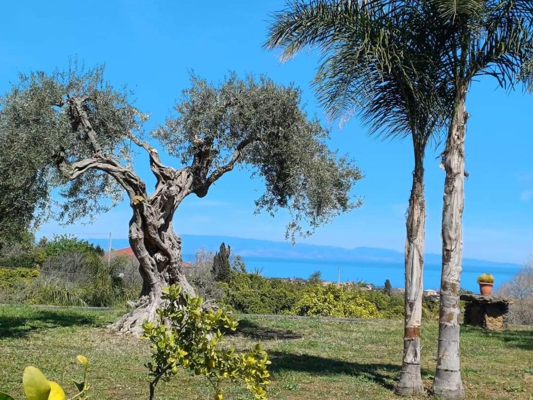 Villa Profumo Di Zagara Acireale Exterior foto